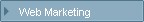 Web Marketing